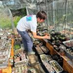 YS PLANTS | イース・プランツ